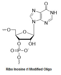 Bio-Synthesis Inc. Oligo Structure